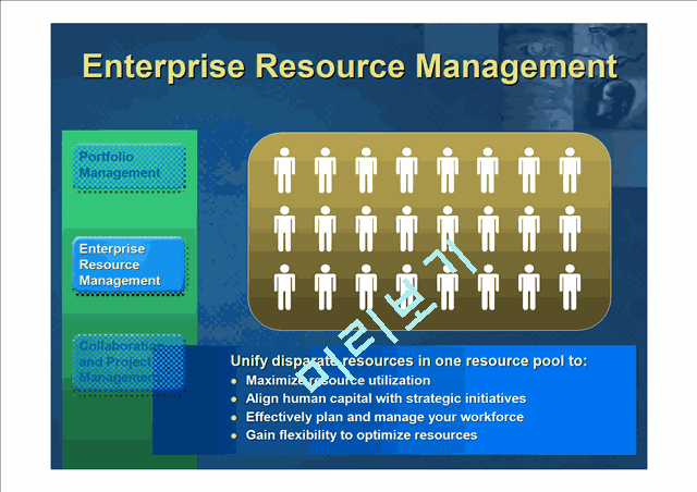 MICROSOFT EnterpriseProject   (8 )